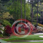 Featured Artist - Picture of the Day