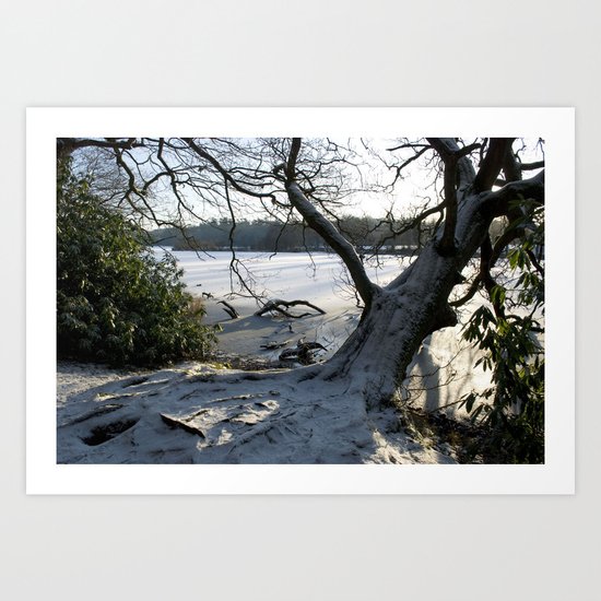 Winter sunshine Art Print