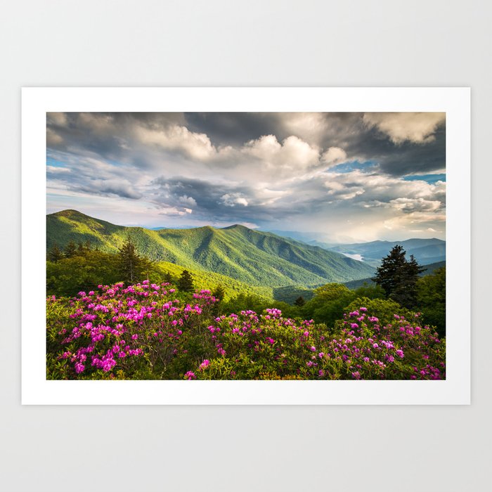 Asheville NC Blue Ridge Parkway Spring Flowers Scenic Outdoor North Carolina Landscape Photography Art Print