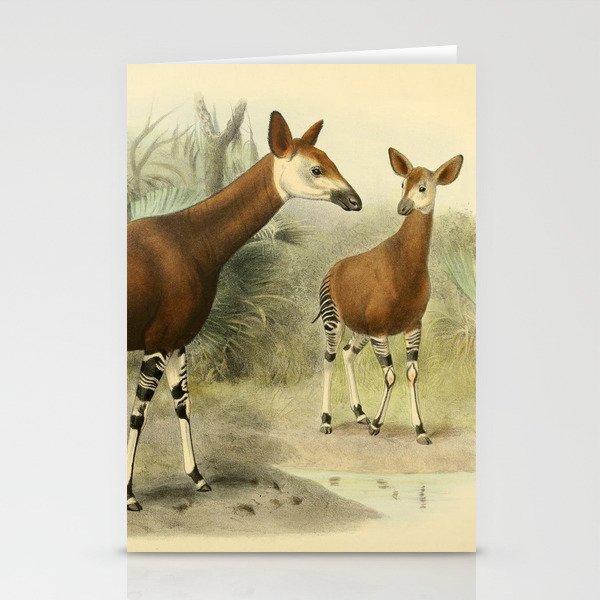 Okapi Stationery Cards