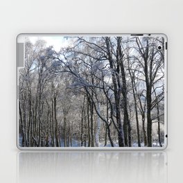 Birch Trees in the Winter Snow  Laptop Skin