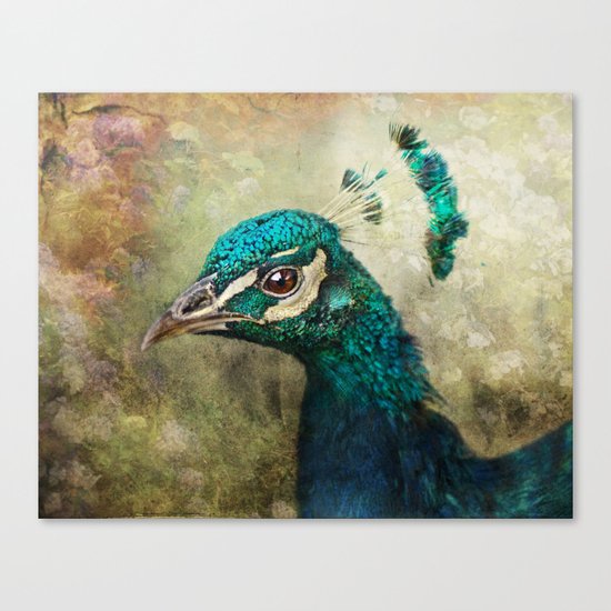 Peacock Canvas Print