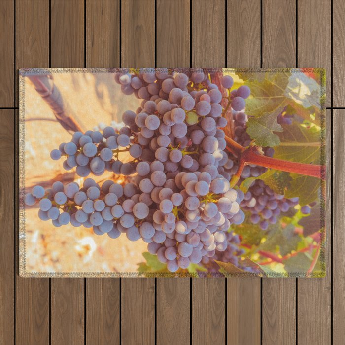 Grapevines 2 Outdoor Rug