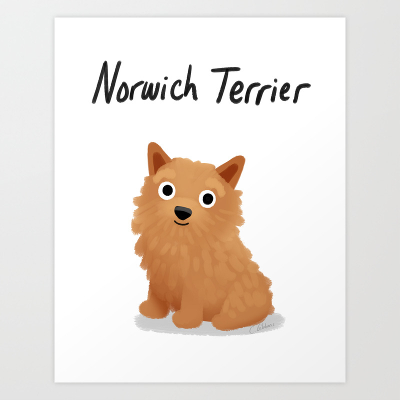 Norwich Terrier Cute Dog Series Art Print By Cassandragibbons Society6 See amazing artworks of displate artists printed on metal. norwich terrier cute dog series art print by cassandragibbons