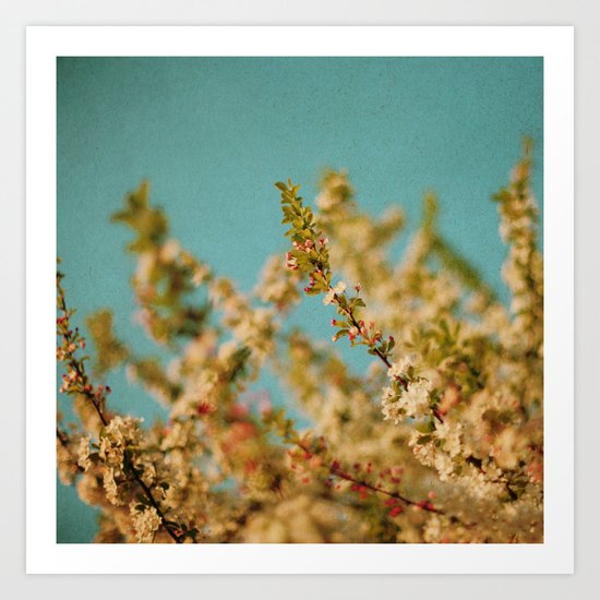 Darling Buds of May Art Print