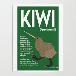 Kiwi Bird Poster