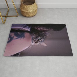 Animal Rug | Katt, Neko, Digital, Color, Katze, Gati, Photo, Chat, Kedi, Kot 