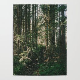 Nordic Woodland  Poster