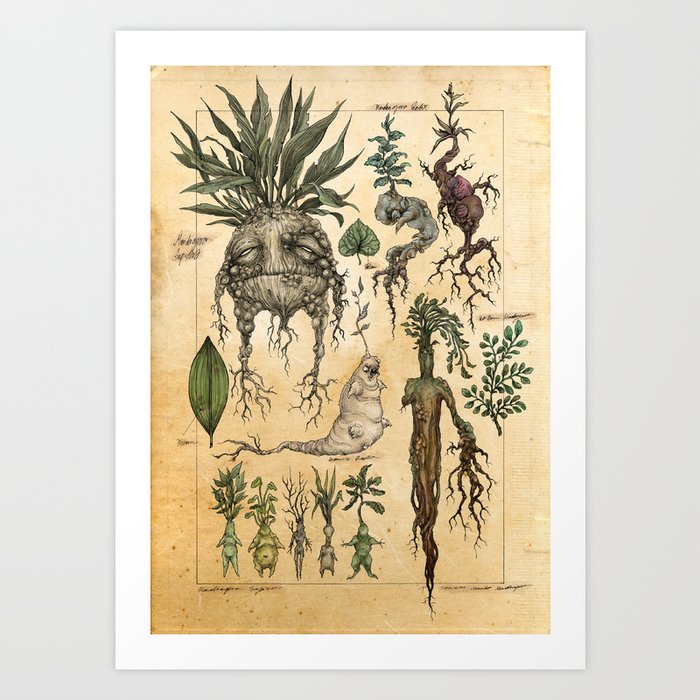 Art Print