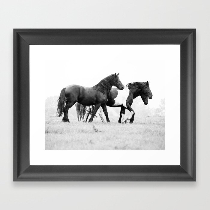 Free Rein - Black and White Photography Framed Art Print