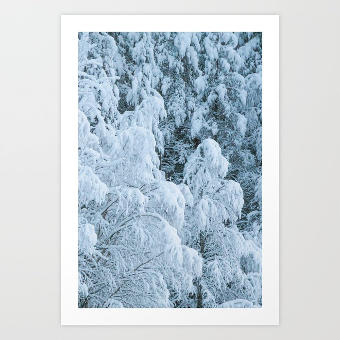 Snow covered trees, Finland above the arctic circle, Lapland in winter | Travel Photography Art Print