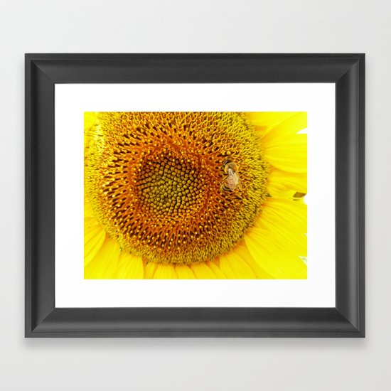 Bee on a Sunflower Framed Art Print