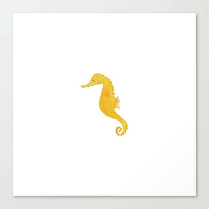 Yellow seahorse Canvas Print
