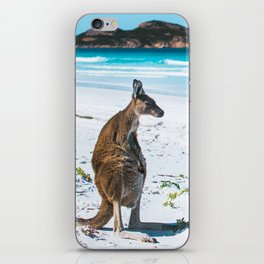 Kangaroo at the beach, Esperance iPhone Skin