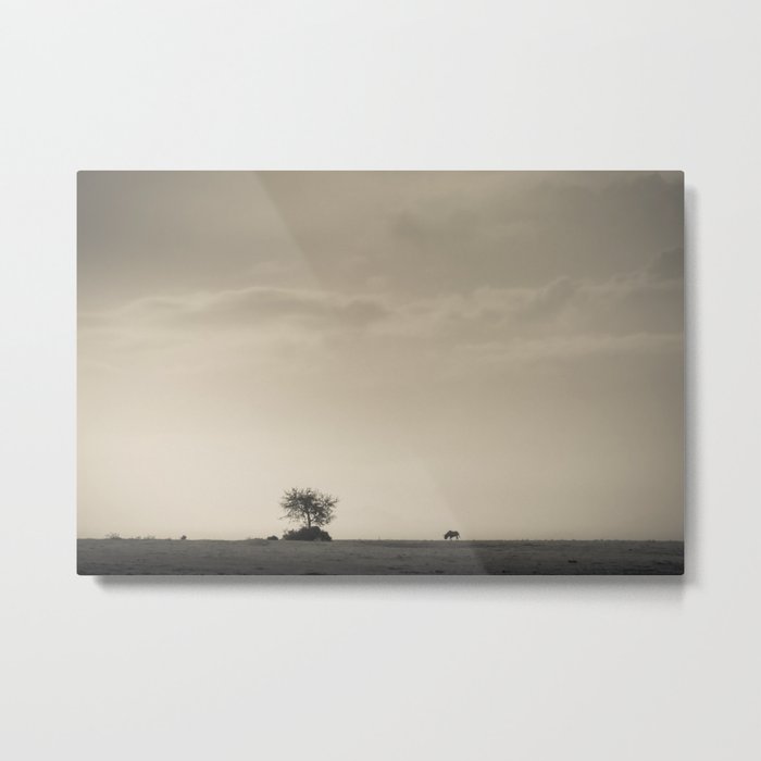 Lone Wildebeest grazing in South Africa Metal Print