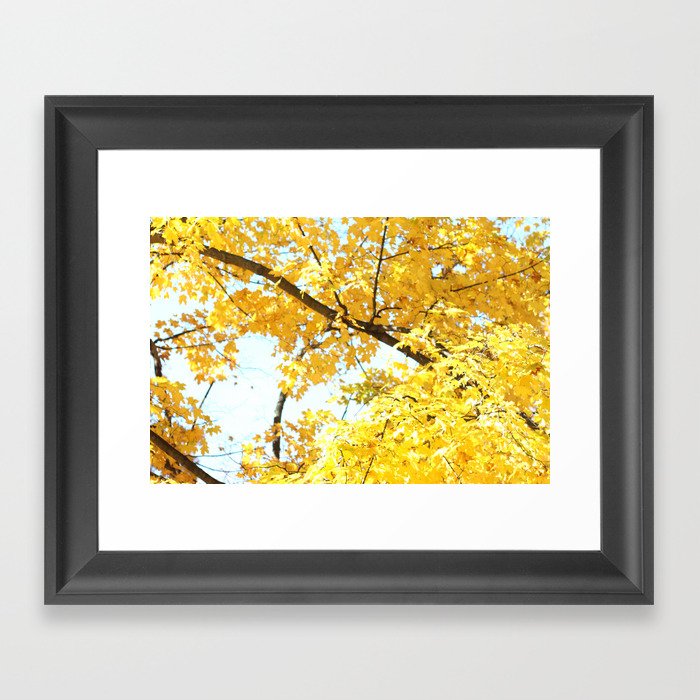 Autumn Leaves Framed Art Print