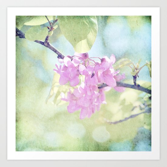 Soft Art Print