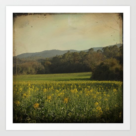 Once Upon a Time a Field of Flowers Art Print