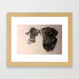 The twins dog Framed Art Print