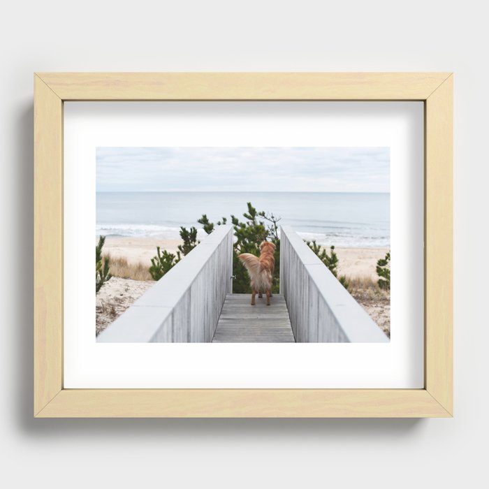 Beach Dog Recessed Framed Print