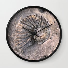 Ammonite Wall Clock