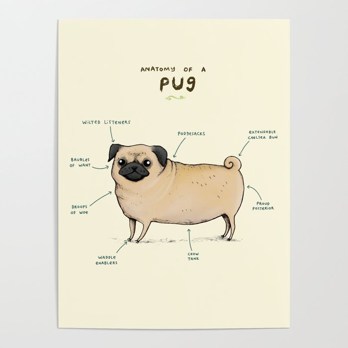 Pug Poster Various Options