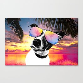 Crazy summer dog style Canvas Print