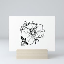 Floral Line Drawing (1) - Home Decor Mini Art Print