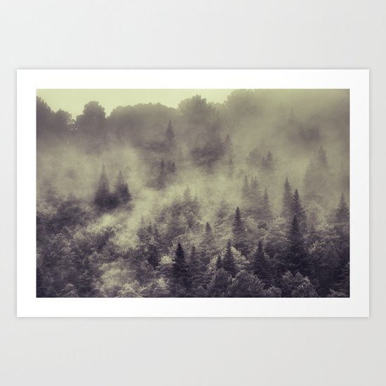 "Into the woods" Love the forests Art Print