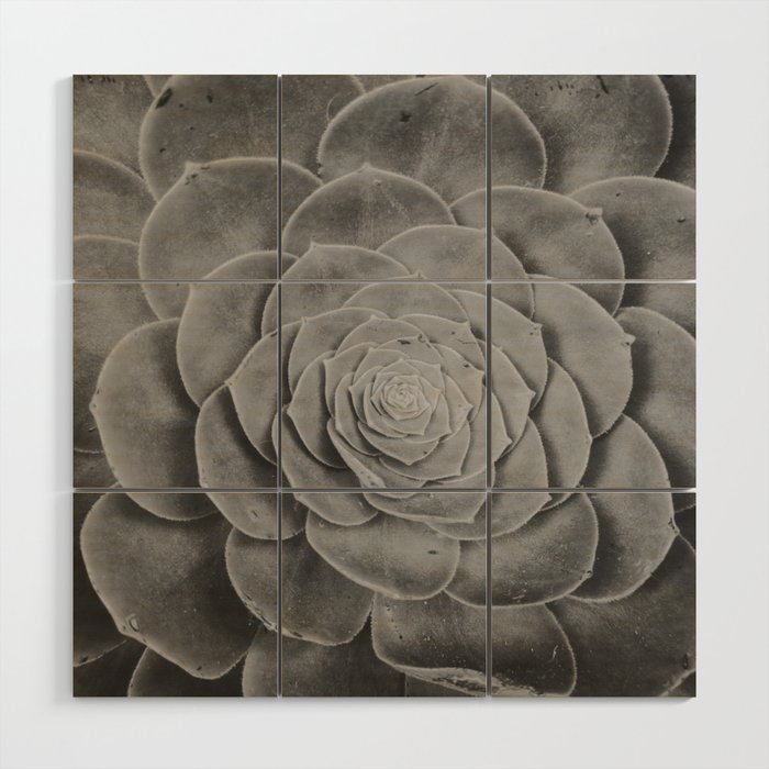 Spiraling BW Wood Wall Art