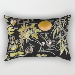 Adolphe Millot - Plantes dangereuses B (dangerous plants B) Rectangular Pillow