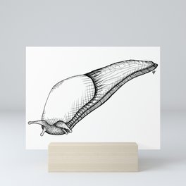 Long Slug Mini Art Print
