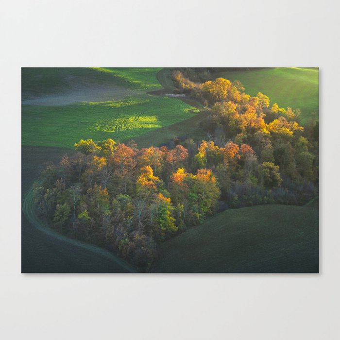 Colourful heart shaped woods in autumn. Tuscany, Italy Canvas Print