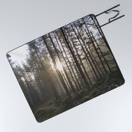 Scottish Pine Trees Sunray View in Afterglow  Picnic Blanket
