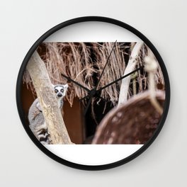 Ring-tailed lemur Wall Clock