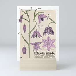 Maurice Verneuil - Fritillaire - botanical poster Mini Art Print