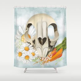 society6