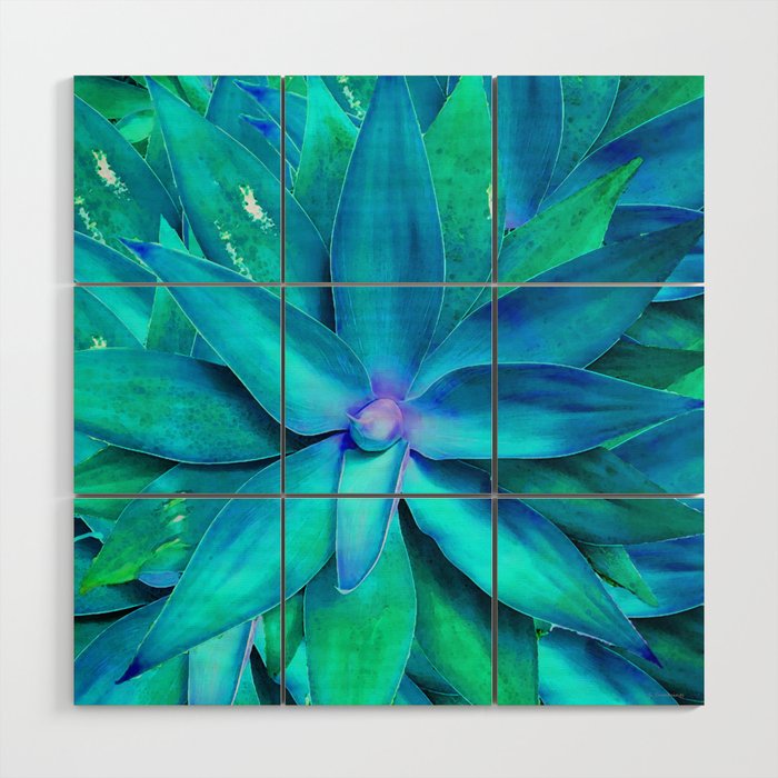 Blue Agave - Colorful Succulent Plant Art Wood Wall Art