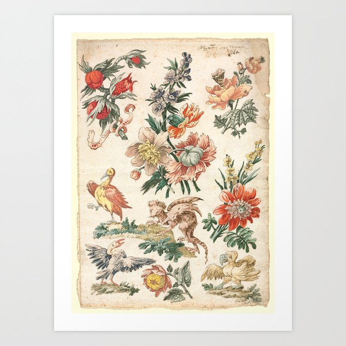 Floral Designs With Bird and Griffon 1700s Art Print