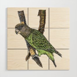 Brown-Headed Parrot Wood Wall Art