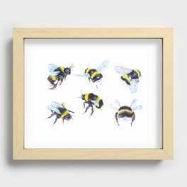 Bees Recessed Framed Print