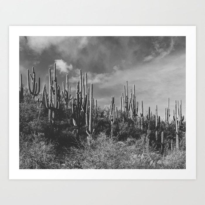 saguaro soiree Art Print