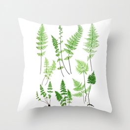 Antique Fern Print No.6 Green Nature Botanical Art Throw Pillow