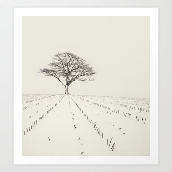 Winter Field Art Print