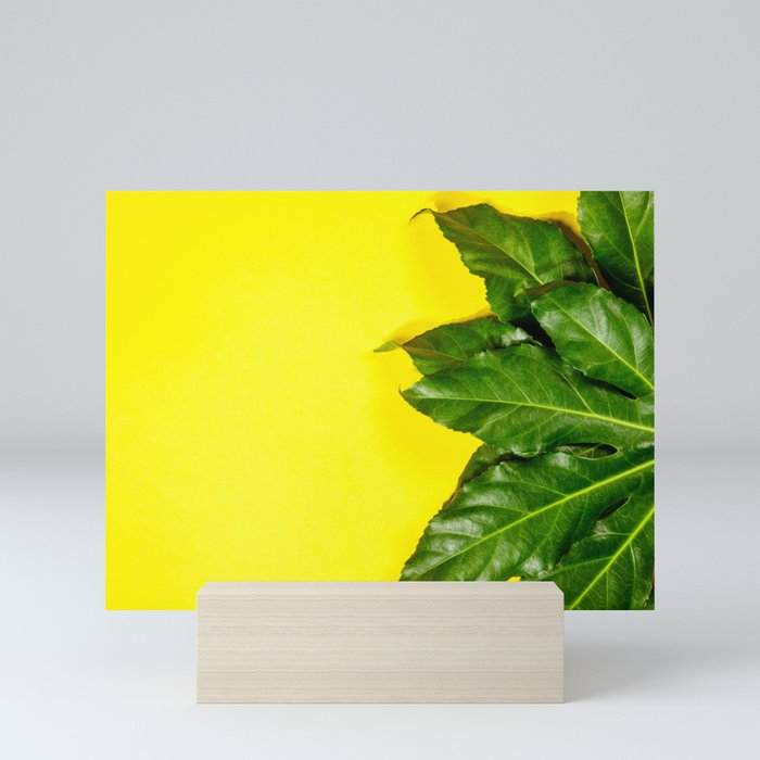 Tropical Leaves On Pastel Yellow Background Minimal Concept Flat Lay Mini Art Print By Klenova Society6