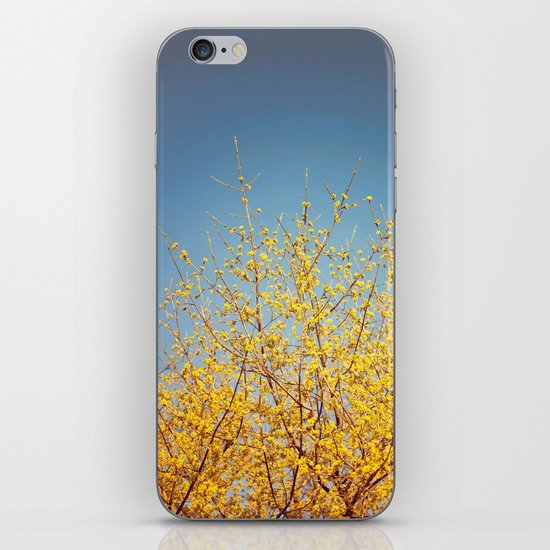 BRING ON THE SUNSHINE iPhone & iPod Skin