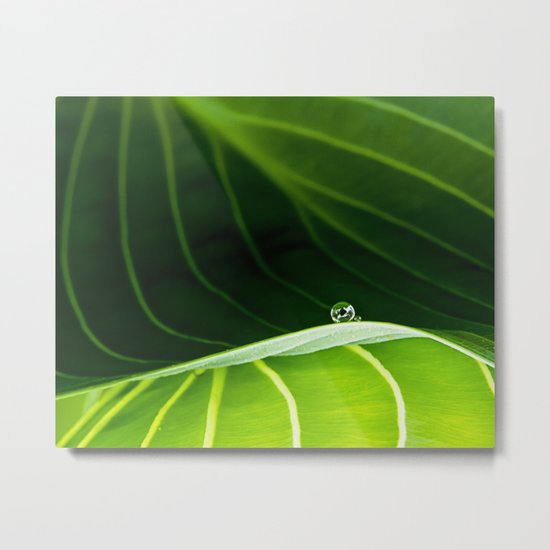 in green Metal Print