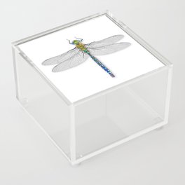 Dragonfly 2 Acrylic Box