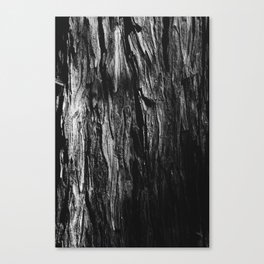 the redwood sleeps beneath the shade (b/w version) Canvas Print