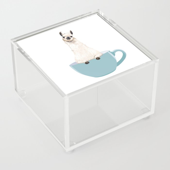 Llama In Cup Acrylic Box